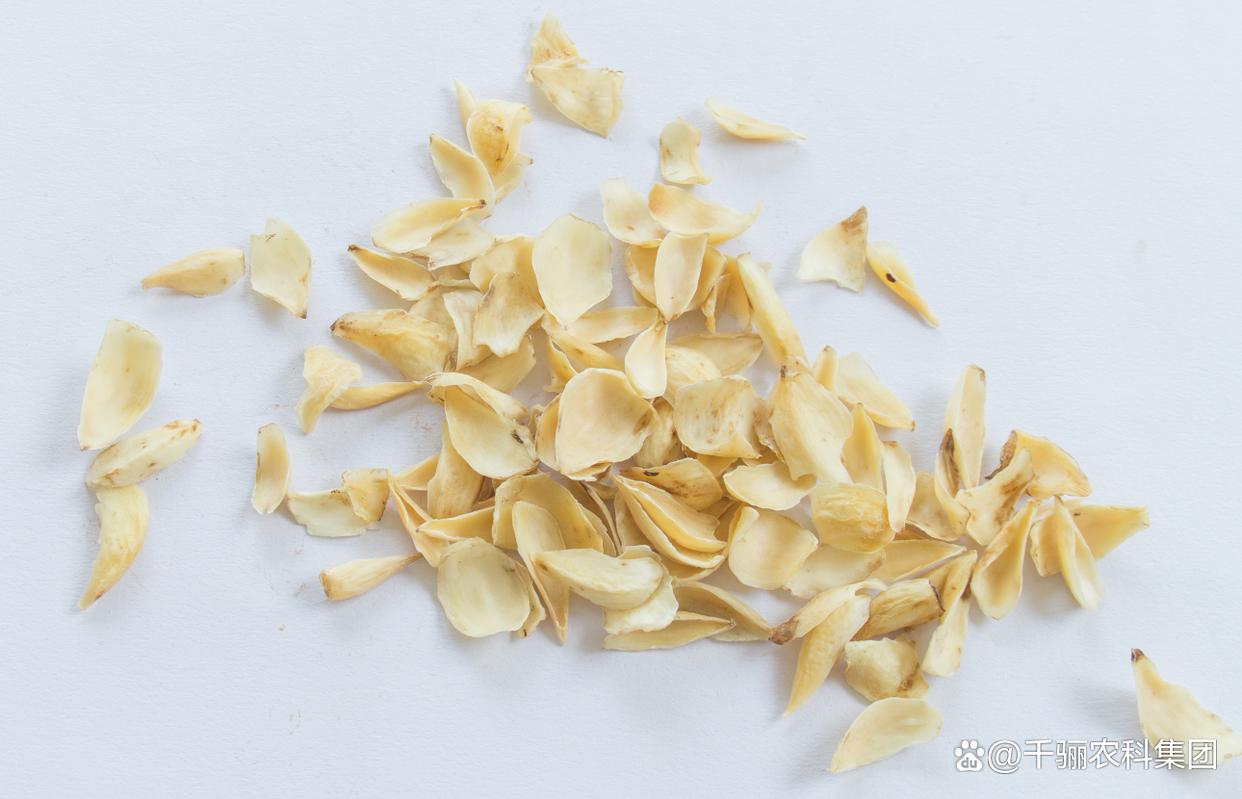 玉竹种植技术与栽培管理全指南