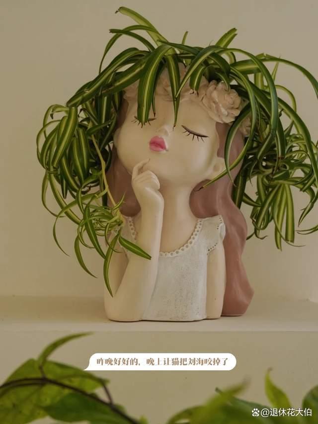 “被严重低估”的吊兰，养好了，堪称“艺术品”，网友：太治愈！ ...