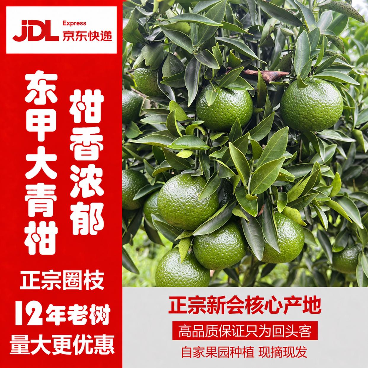 买陈皮前,先看懂东甲圈枝鲜果