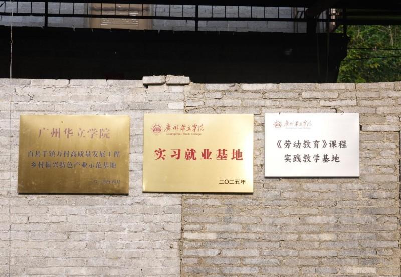 “树上收柑、树下采菇、菌渣养树”——广州华立学院探索陈皮红松茸绿色循环模式 ...
