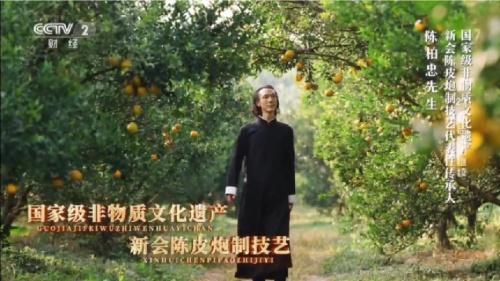 新宝堂:打造全流程溯源的新会陈皮仓储流通中心