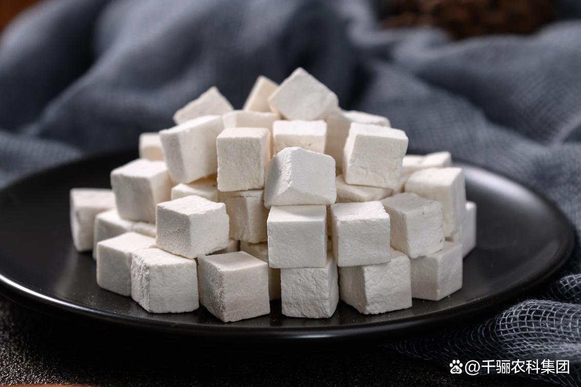 茯苓种植全攻略：茯苓怎么种植？