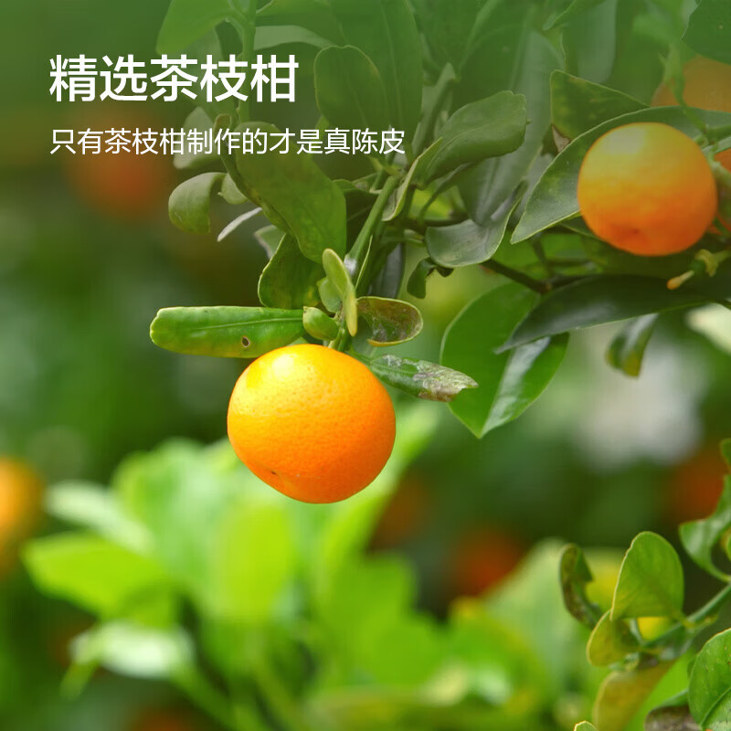 同仁堂（TRT）正宗新会老陈皮105g广东新会大红皮十陈皮干长辈送礼养生茶