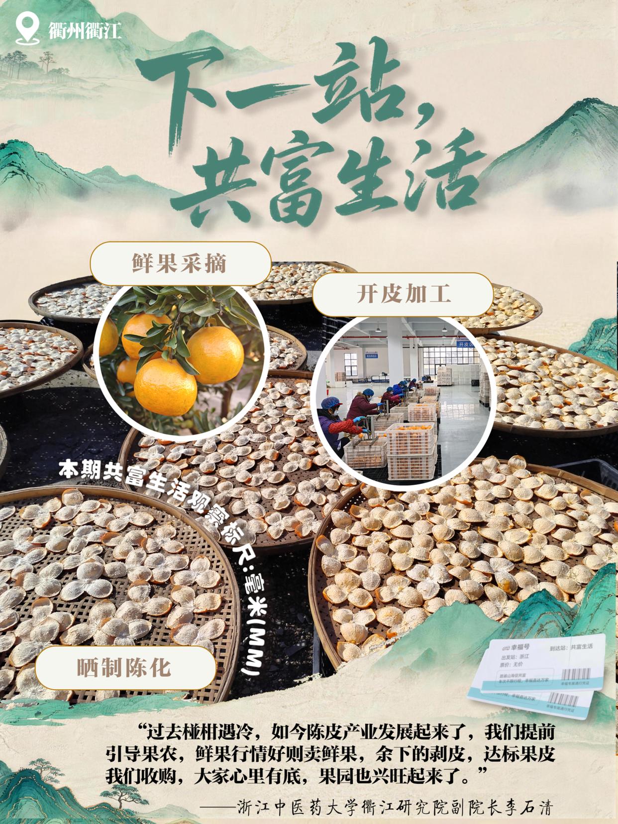 下一站共富生活:从“废果”到“金疙瘩”,一片陈皮何以富一方百姓? ...