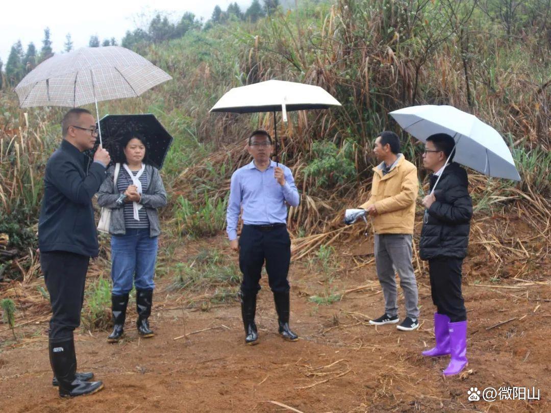 技能培训|举办陈皮柑种植培训,积极培育乡村产业