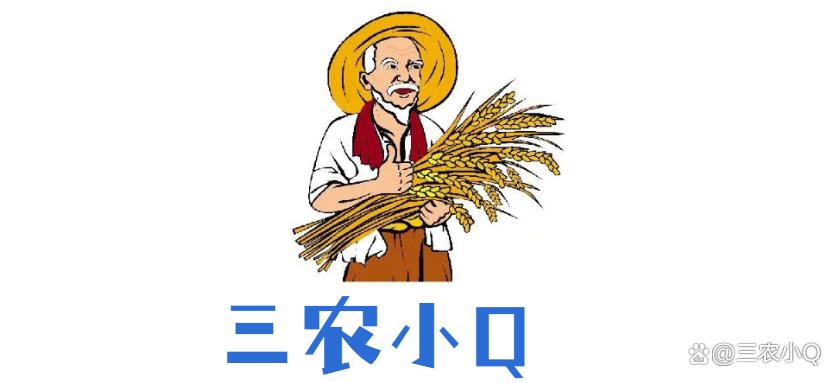 兰花种植指南:从育苗、栽培到养护,帮你种出自己的兰花花园 ...