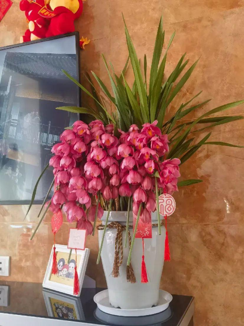 超全兰花养护大全,看懂这篇,养好兰花不在话下