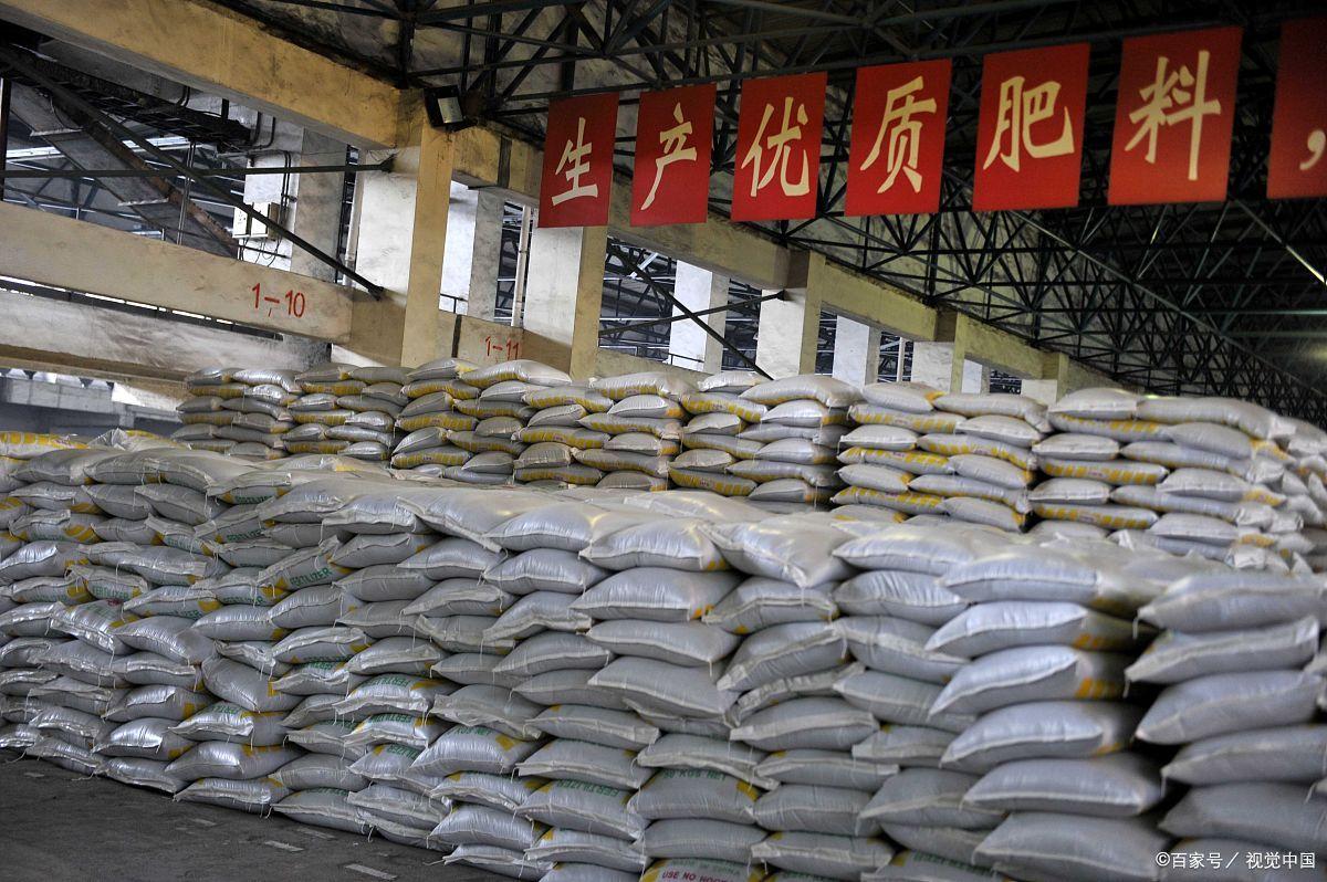 小麦超高产播种关键技术建议措施