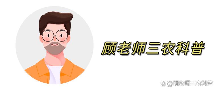 水稻高产技术：从播种前准备、田间养护到采收管理，都至关重要 ...