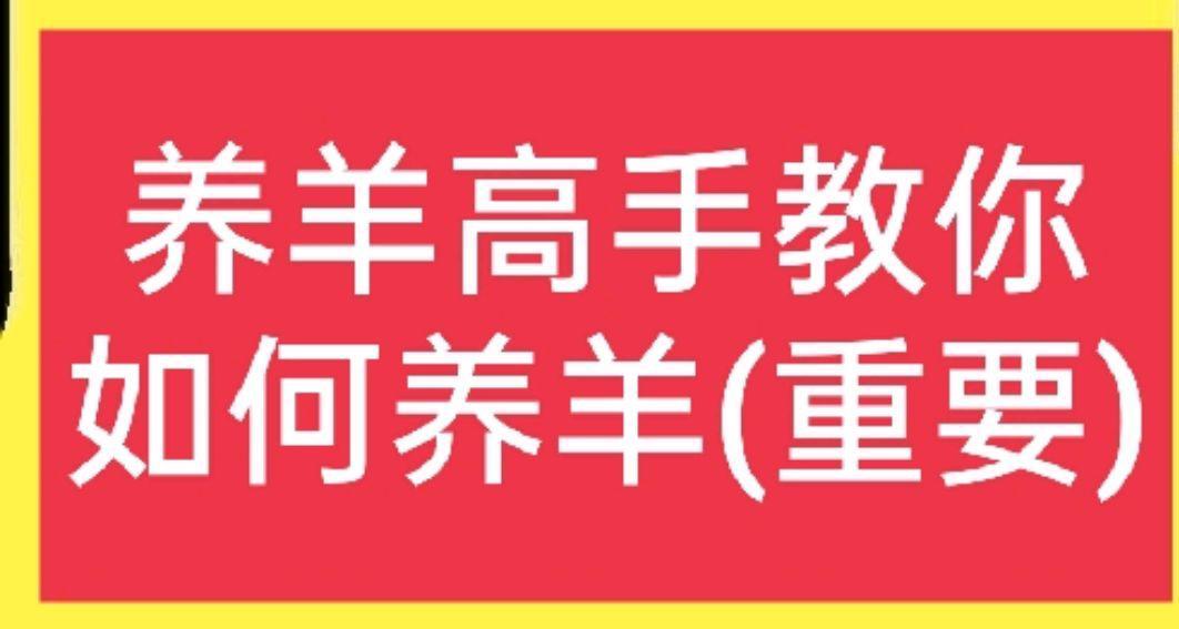 如何正确养羊？有30年经验的养殖户来教你，附带合适散养品种羊！ ...